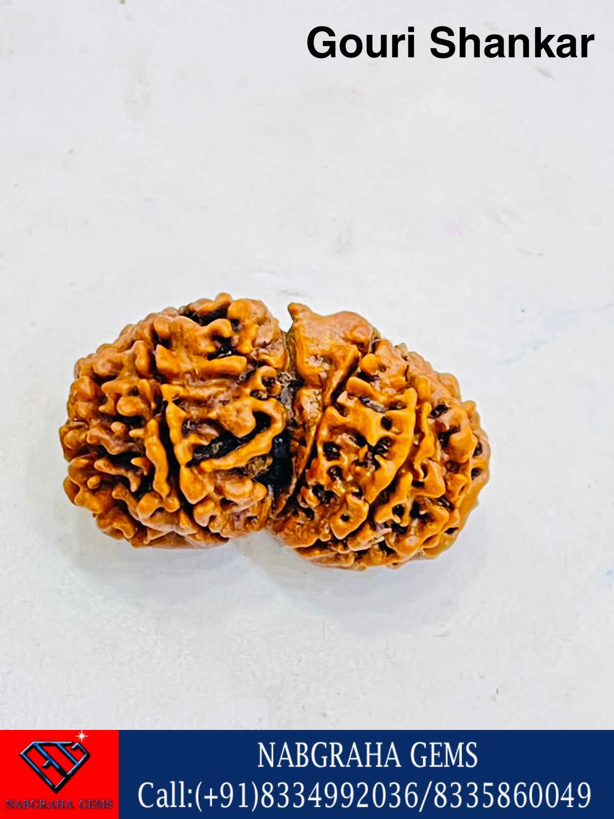 Natural Gauri Shankar Rudraksha-NEPALI