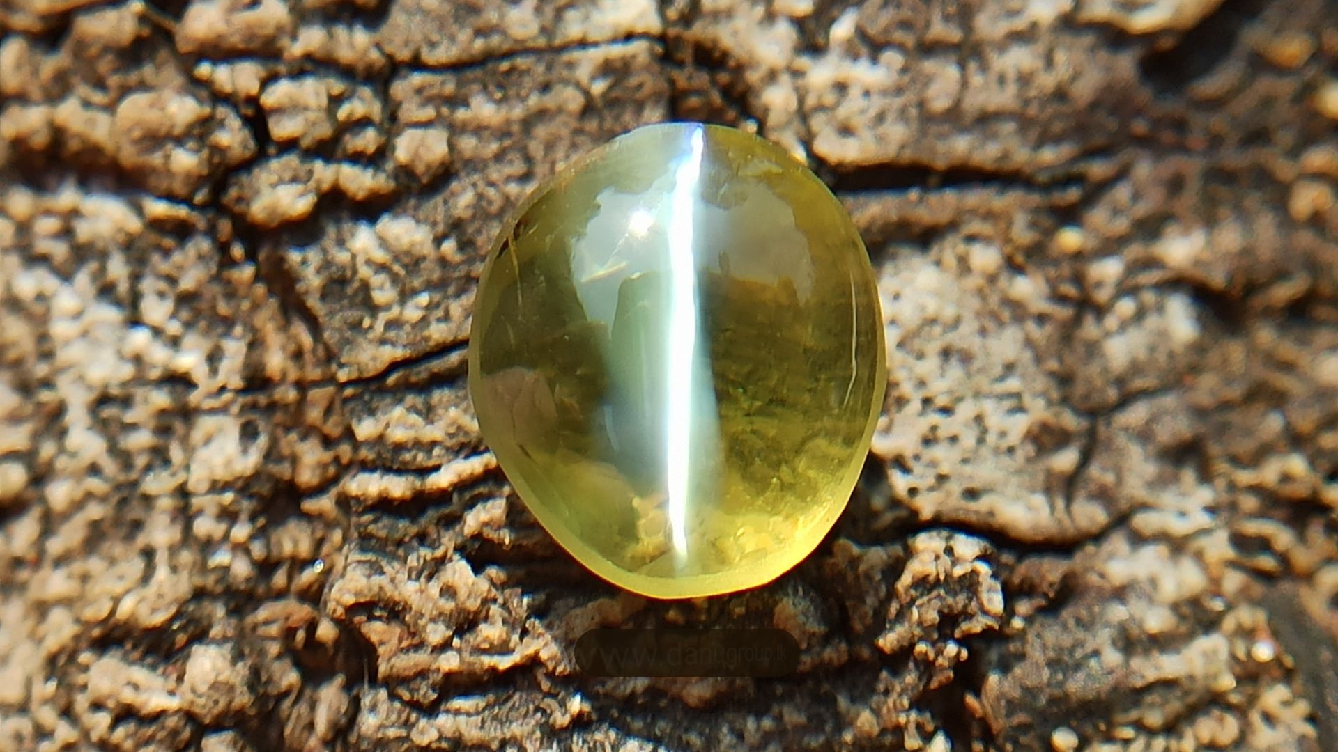 Cat’s Eye Gemstone For a Better Life